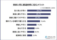 実家と同じ都道府県に住むメリット（提供画像）
