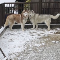 （提供：ハマジさん @xxhama2）