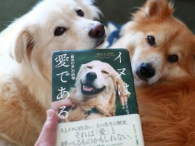 犬は果たして「愛」なのか　富士丸、大吉、福助と暮らして知ったこと