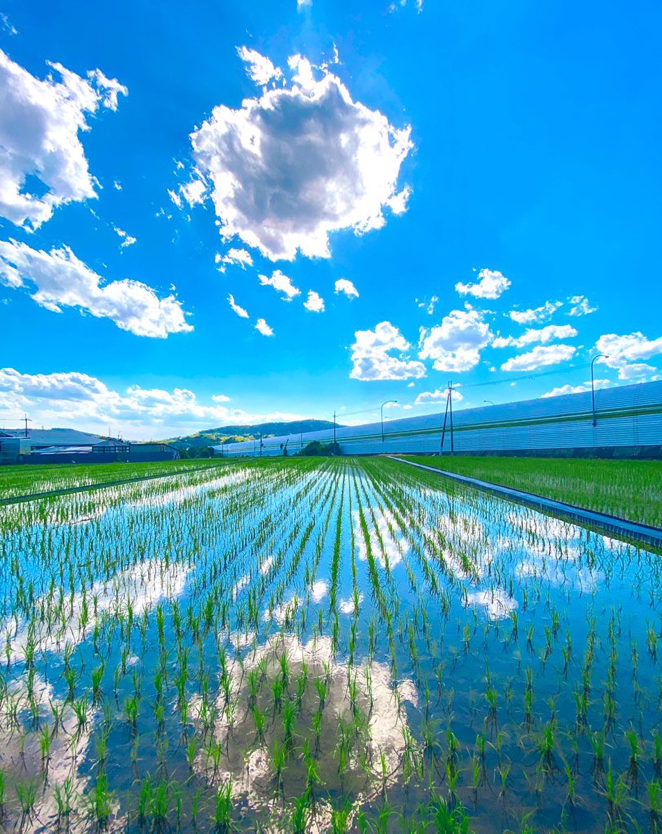 空が田んぼに映り込んでる！反転した世界まで美しすぎる田舎の風景が