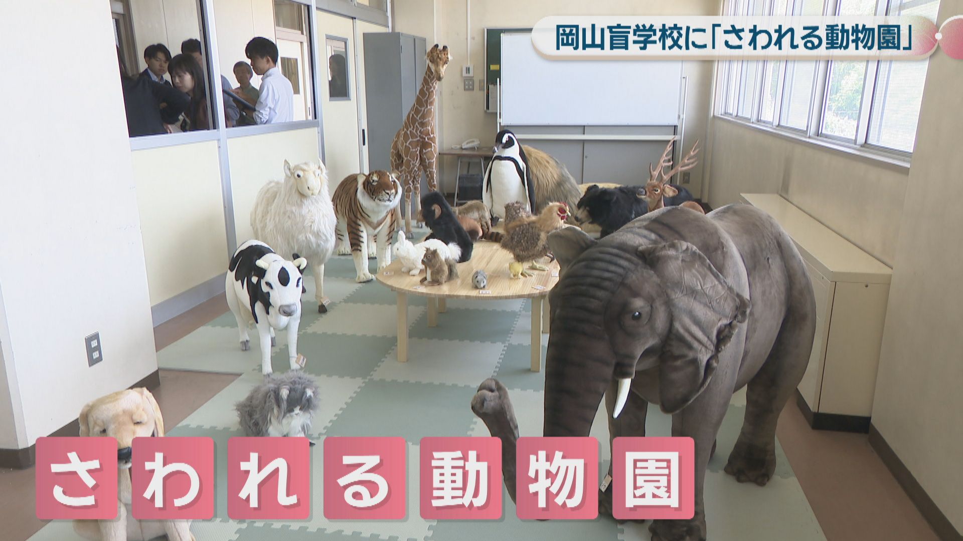 盲学校に「さわれる動物園」が開園 障害者支援などに取り組む男性が