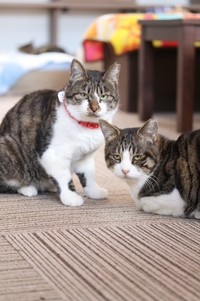 キャリアルームから卒業していった仲良し兄妹