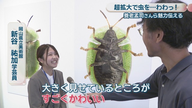 岡山県立美術館／新谷祐加 学芸員