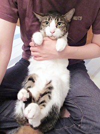 抱っこされてまったり。きょとん顔がかわいいくうちゃん（画像提供：Yさん）