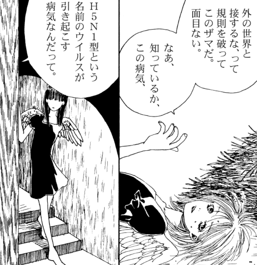 『H5N1型鳥インフルエンザ』に鶏舎の鳥がかかってしまうと…（高川ヨ志ノリさん提供）