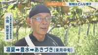 JA香川県豊南地区梨部会／小博安雄 部会長