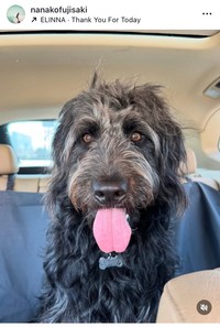 藤崎奈々子インスタグラム＠nanakofujisakiより