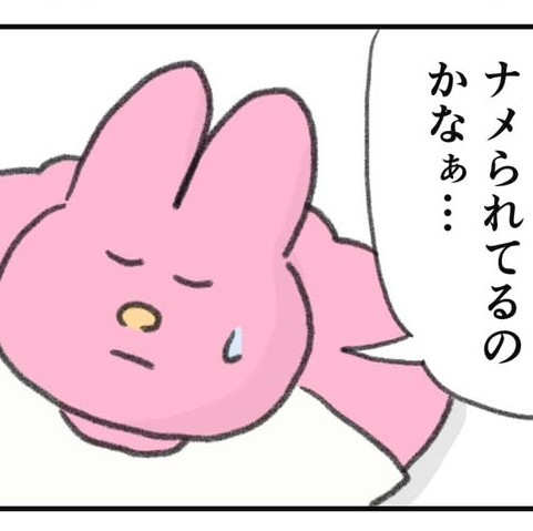 もしかして私ナメられてる？（なおにゃんさん提供）