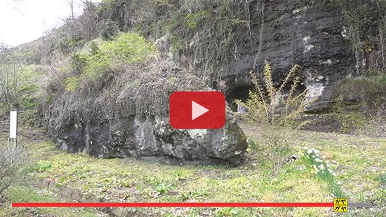 #275村田町 牛石