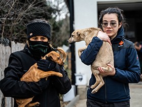 犬たちは餓死するか爆撃で死ぬか　ウクライナの緊急事態に動くイタリアの動物愛護団体