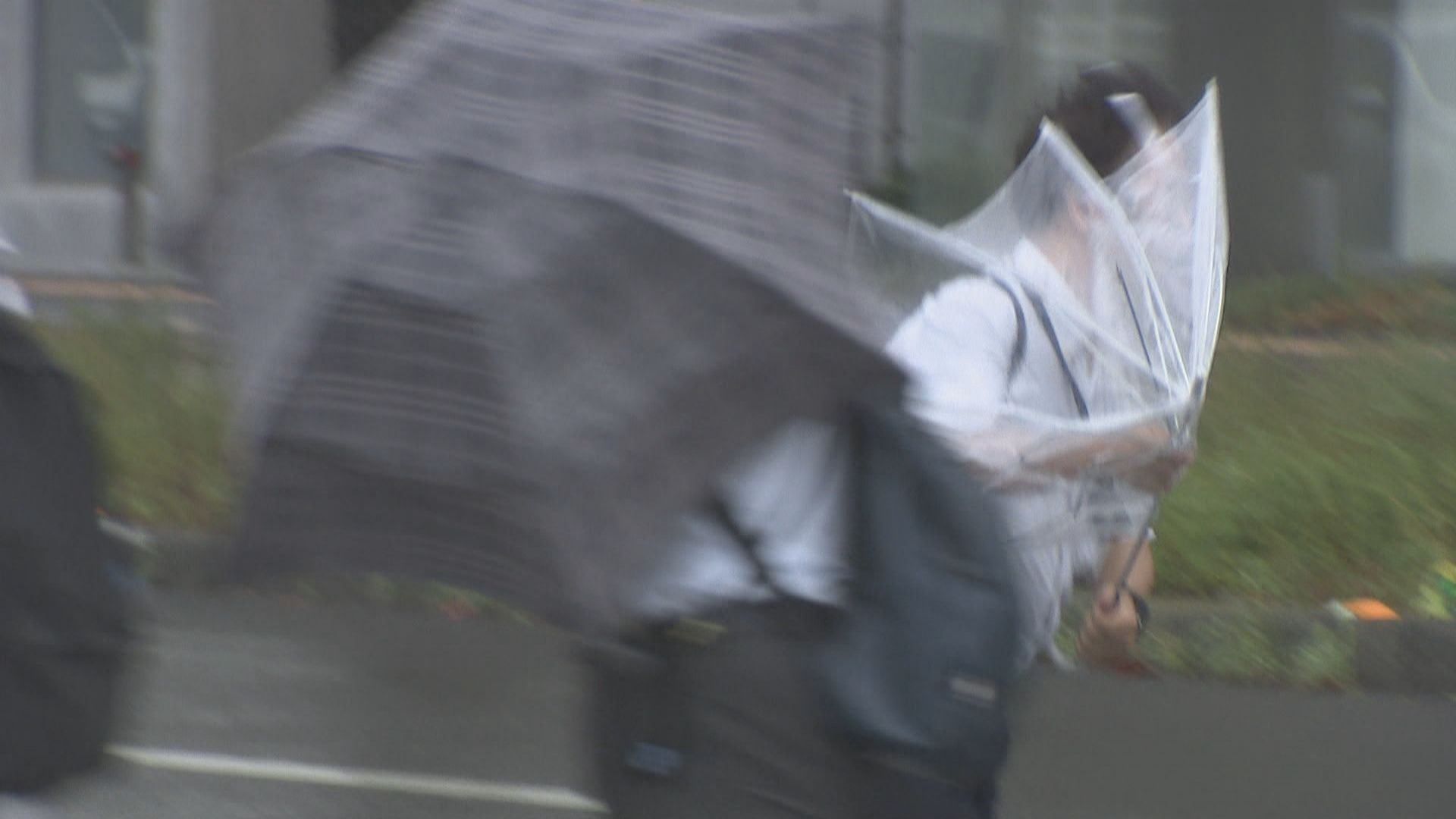 9日の大雨被害 農産物810万円 河川5100万円など 香川県 | KSBニュース