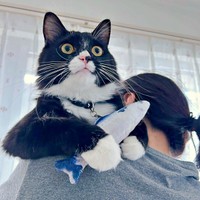 おもちゃを持って抱っこされるぐらくん。立派に成長しました（画像提供：zoes.810さん）