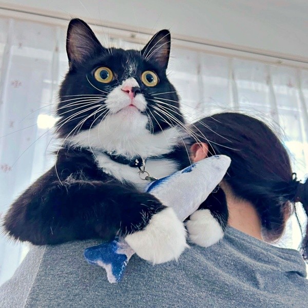 おもちゃを持って抱っこされるぐらくん。立派に成長しました（画像提供：zoes.810さん）