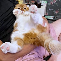 旅行から帰ってきた家族に甘えるぽんたくん（画像提供：ぽんた師匠さん）