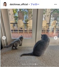 大地真央のインスタグラム@daichimao_officialより