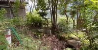 草木の生い茂る小さな村さん宅の裏庭。石組があり、池らしき場所がうっすらと見えます。この場所に、澄んだ池が再生されます（写真提供：YouTubeチャンネル「小さな村で暮らす」さん）