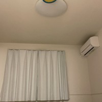 フリスピーが！あんなところに！（画像提供：モコさん、画像を一部トリミング）