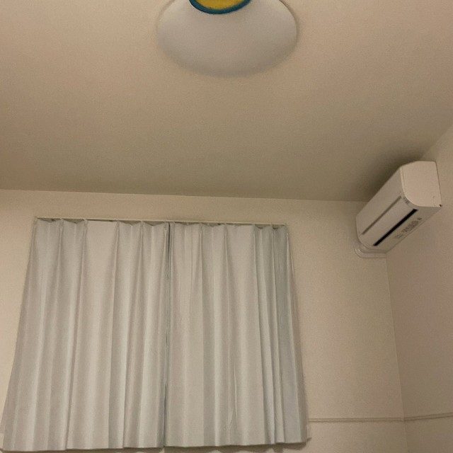 フリスピーが！あんなところに！（画像提供：モコさん、画像を一部トリミング）