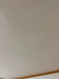 よく見ると水の跡がシミに（独身くそおばさん提供）