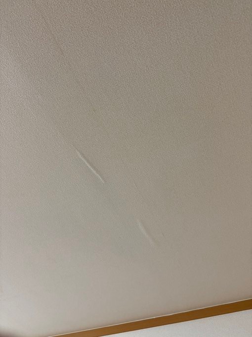 よく見ると水の跡がシミに（独身くそおばさん提供）