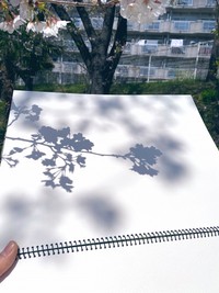 影すらも美しい（画像提供：深堀 隆介Riusukeさん）