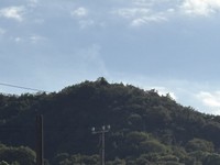 【速報】香川・多度津町西白方で山林火災