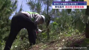 宮城・東松島市の防災林で管理活動　７０人が雑草などを取り除く