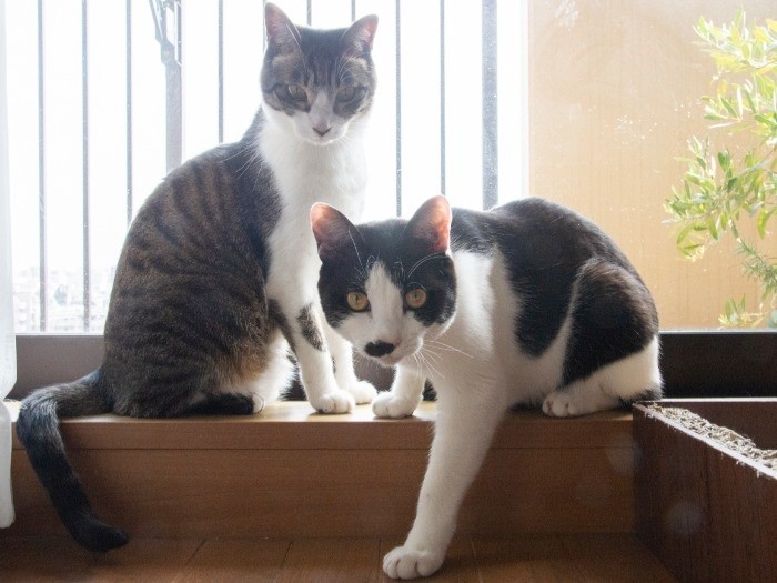 地震を経験したりいろいろあったけど、私たちハッピー。おとなになって摑んだ幸せです。