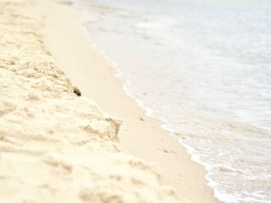 ジェンダー系のリツイートをしていたら友達と距離ができた