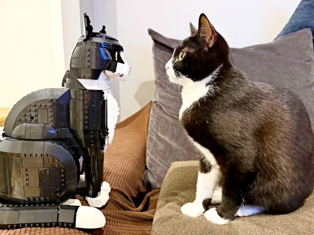 向かい合う（左から）レゴ猫とミシェルちゃん（画像提供：ModCraneさん）