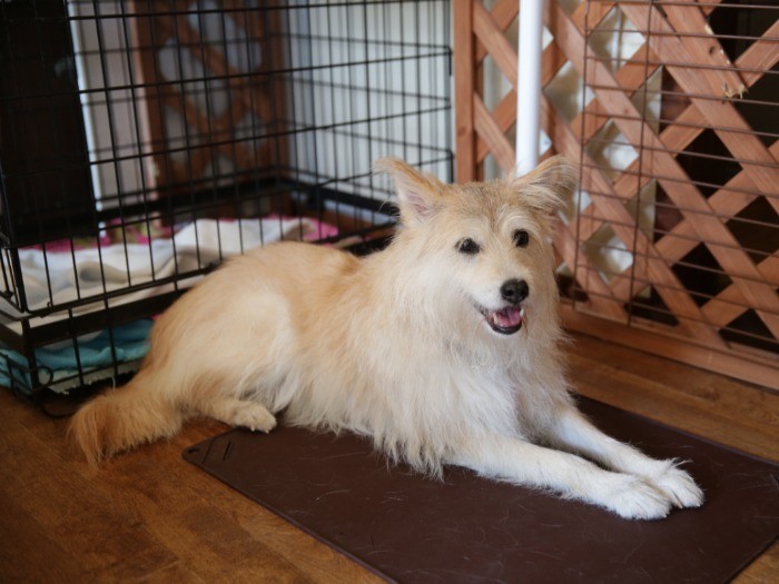 After　「華」魅力的なお嬢さんに変身！