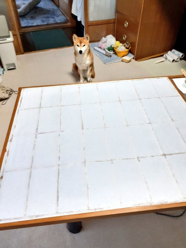 障子の前に佇む柴犬にハラハラ