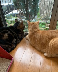 そうすけくんと仲良く外を観察中