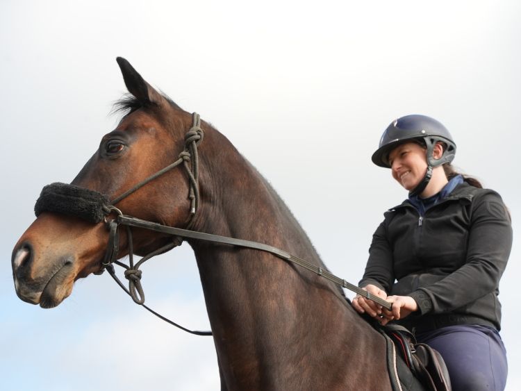 人間が接し方を変えることで、馬の新たな可能性が見いだされる=2026年3月10日、フランス・シャンティイ郊外、高久潤撮影