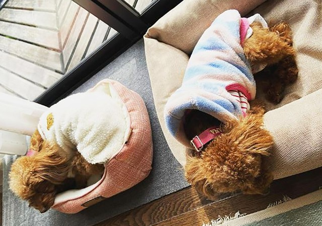 逆のベットで寝る2人。はみ出しそうになっているのが先輩・ゆずちゃんです