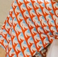 この鳩、見覚えが……（浦上早苗さん提供）※画像をトリミングしています
