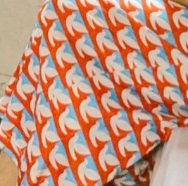 この鳩、見覚えが……（浦上早苗さん提供）※画像をトリミングしています