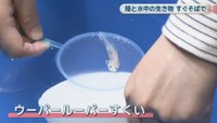 いきものワールド in コンベックス岡山