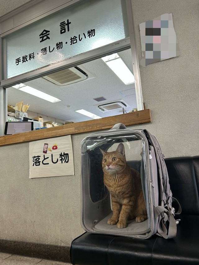 警察署で堂々たる態度！（あんしゃろちょむさん提供）