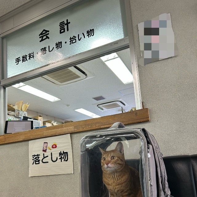 警察署で堂々たる態度！（あんしゃろちょむさん提供）