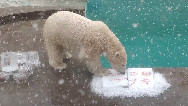 吹雪を呼んだフブキ