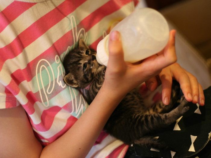 ミルクをあげる娘