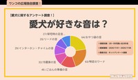 愛犬に関するアンケート