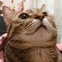 アップでも耐えられるね