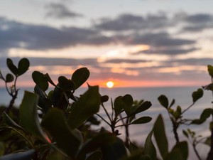 両親を失った経験が学びと財産になった。私だからできることがある