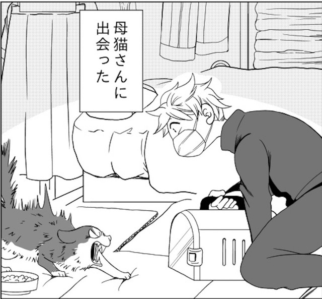 母猫と対面した時の黒猫クロさん（画像提供：黒猫クロさんのマンガより）