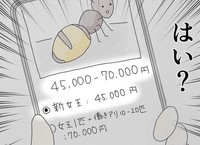 まさかの4万円以上、他に欲しいアリは24万円以上…（まめねこさん提供）