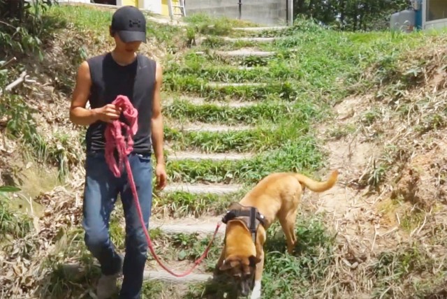 ジョニーは今も団体の施設で元気に暮らしています