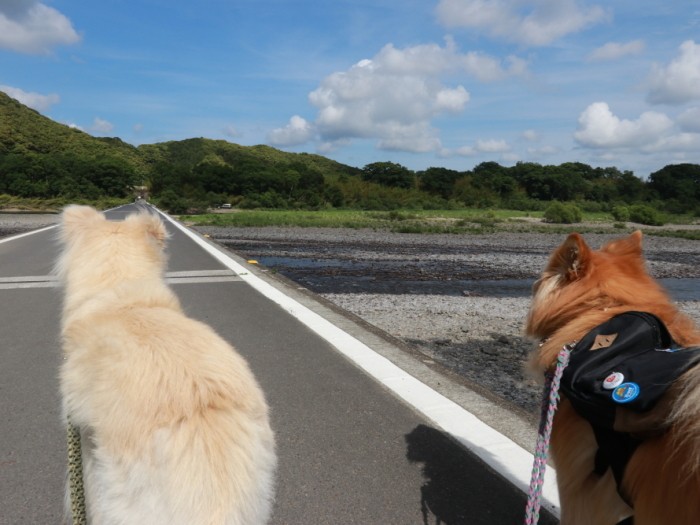 高知県の沈下橋にて