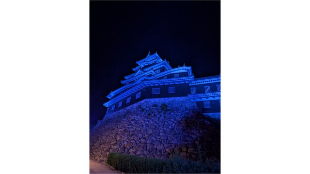 岡山城のライトアップの様子（2025年、提供：岡山県）
